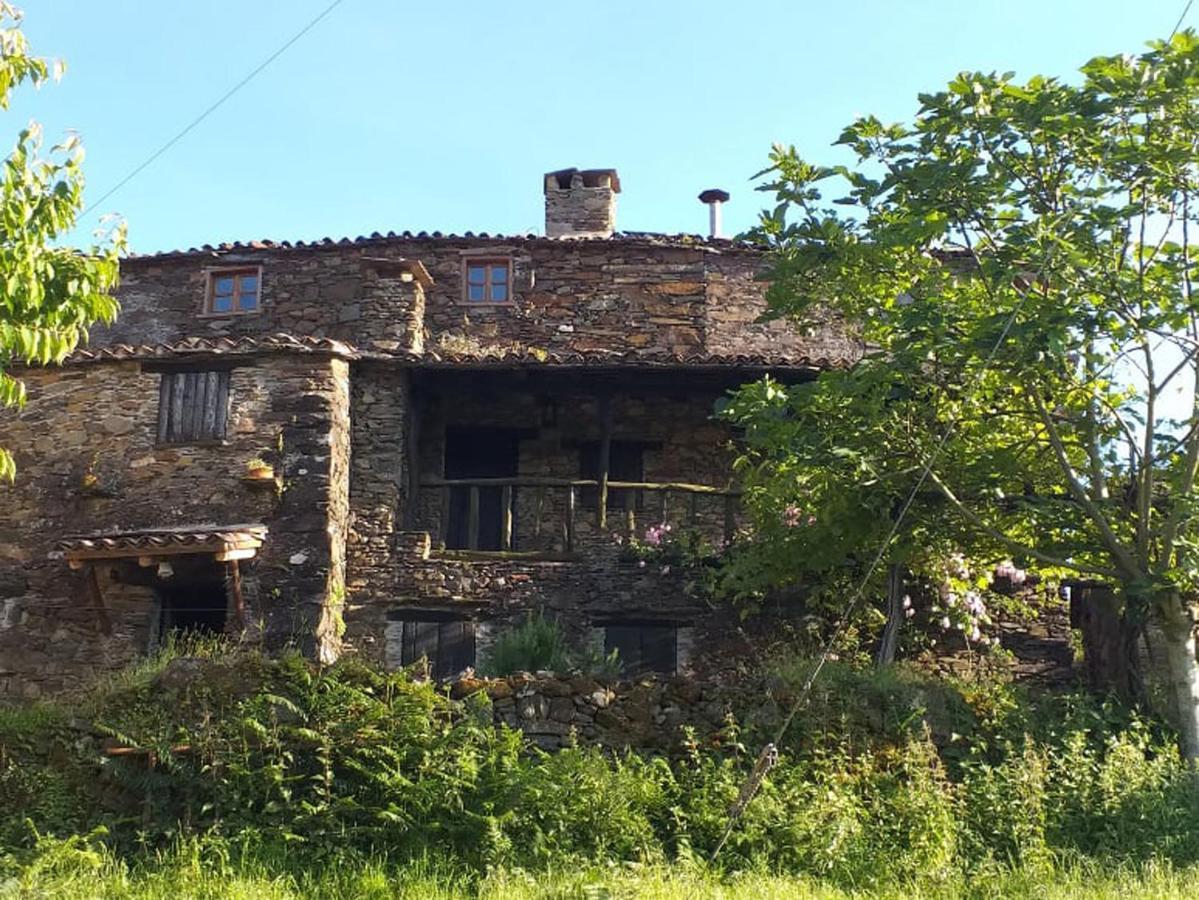 Casa Dos Livros Villa Talasnal Eksteriør bilde